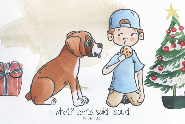 brady's holiday card