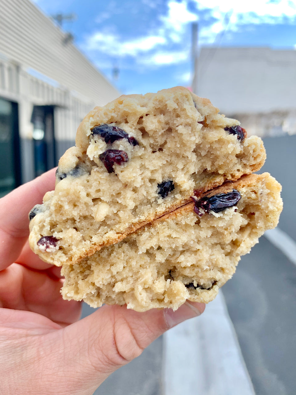 oatmeal cranberry cookie 